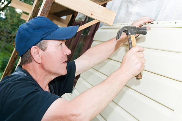 Best Custom Siding Design  in Mason, MI